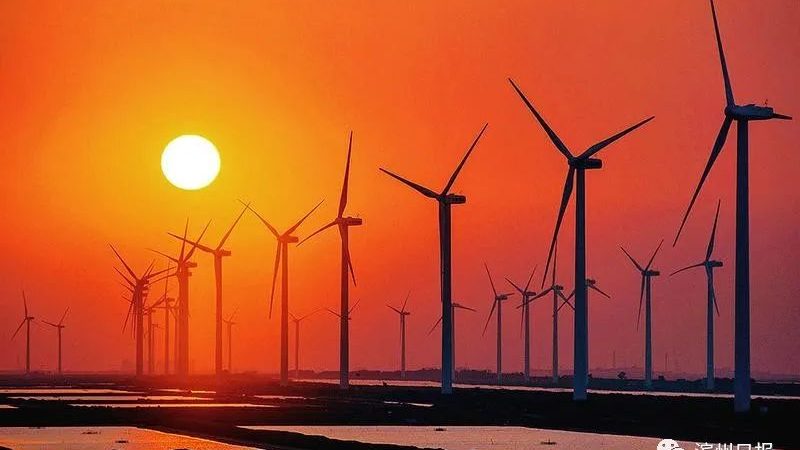 新能源公司代理哪个牌子好？揭秘储能电池选择标准